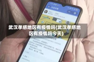 武汉孝感地区有疫情吗(武汉孝感地区有疫情吗今天)