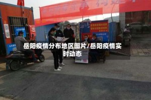 岳阳疫情分布地区图片/岳阳疫情实时动态