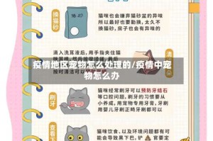 疫情地区宠物怎么处理的/疫情中宠物怎么办
