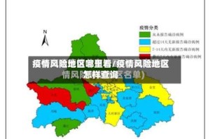 疫情风险地区哪里看/疫情风险地区怎样查询