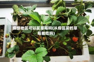 疫情地区可以买草莓吗(从疫区买的草莓能吃吗)
