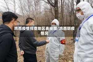 鸡西疫情排查地区表格图/鸡西防疫情况