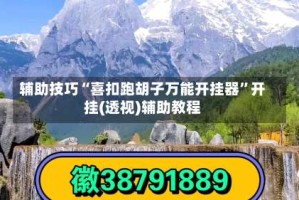 辅助技巧“喜扣跑胡子万能开挂器”开挂(透视)辅助教程