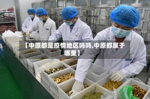 【中原都是疫情地区吗吗,中原都属于哪里】