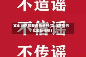文山地区最新疫情消息(文山新型冠状最新疫情)