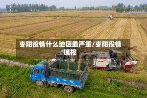 枣阳疫情什么地区最严重/枣阳役情通报