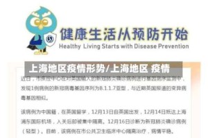 上海地区疫情形势/上海地区 疫情