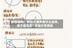 教程辅助!“拱趴大菠萝有什么挂吗，是不是真的”详细分享装挂