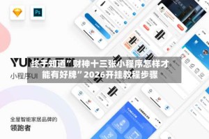 终于知道”财神十三张小程序怎样才能有好牌”2026开挂教程步骤