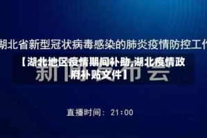 【湖北地区疫情期间补助,湖北疫情政府补贴文件】