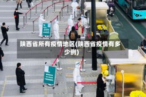 陕西省所有疫情地区(陕西省疫情有多少例)