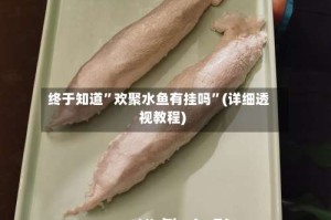 终于知道”欢聚水鱼有挂吗”(详细透视教程)