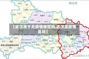 【武汉属于无疫情地区吗,武汉是疫情区吗】