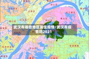 武汉有哪些地区发生疫情/武汉有疫情吗2021