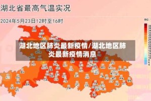 湖北地区肺炎最新疫情/湖北地区肺炎最新疫情消息