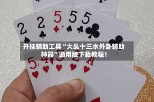 开挂辅助工具“大头十三水外卦辅助神器”通用版下载教程！