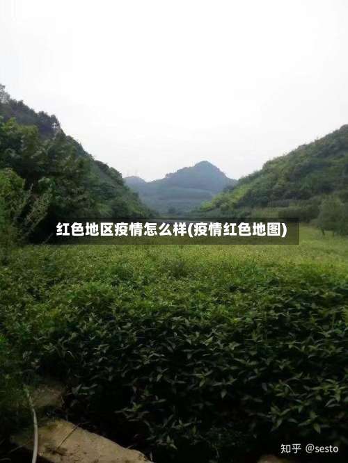 红色地区疫情怎么样(疫情红色地图)-第2张图片