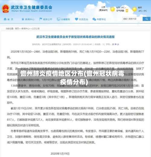 儋州肺炎疫情地区分布(儋州冠状病毒疫情分布)-第2张图片