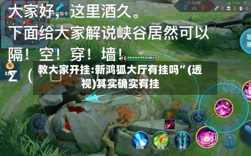 教大家开挂:新鸿狐大厅有挂吗”(透视)其实确实有挂-第2张图片