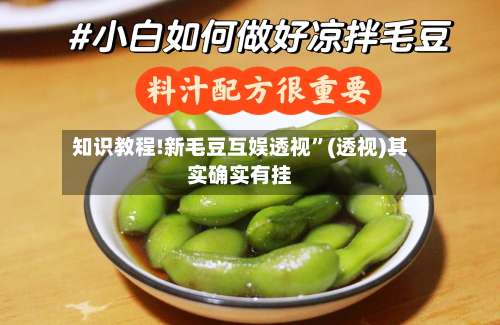 知识教程!新毛豆互娱透视”(透视)其实确实有挂-第1张图片