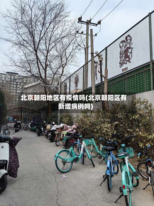 北京朝阳地区有疫情吗(北京朝阳区有新增病例吗)-第3张图片