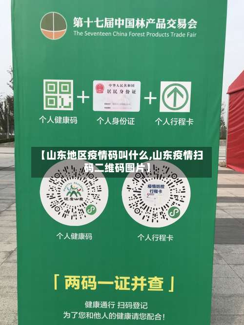 【山东地区疫情码叫什么,山东疫情扫码二维码图片】-第1张图片