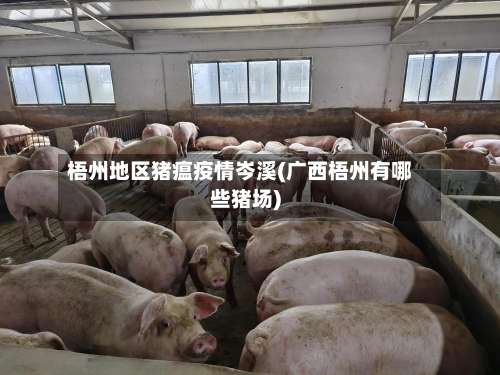 梧州地区猪瘟疫情岑溪(广西梧州有哪些猪场)-第1张图片