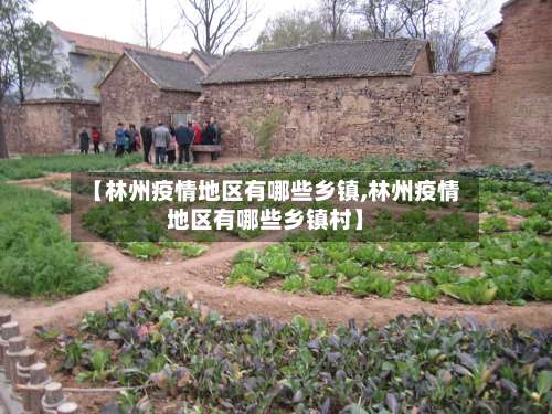 【林州疫情地区有哪些乡镇,林州疫情地区有哪些乡镇村】-第1张图片
