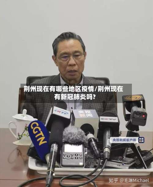 荆州现在有哪些地区疫情/荆州现在有新冠肺炎吗?-第3张图片