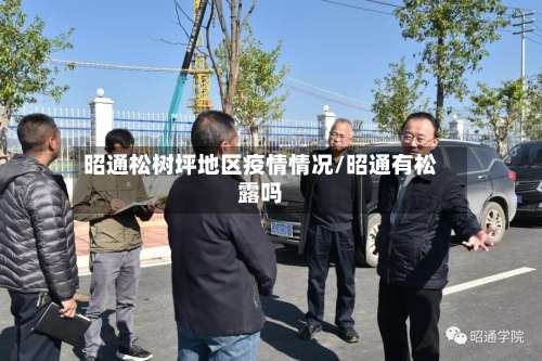 昭通松树坪地区疫情情况/昭通有松露吗-第2张图片