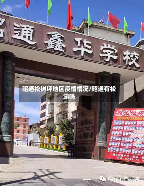 昭通松树坪地区疫情情况/昭通有松露吗-第1张图片