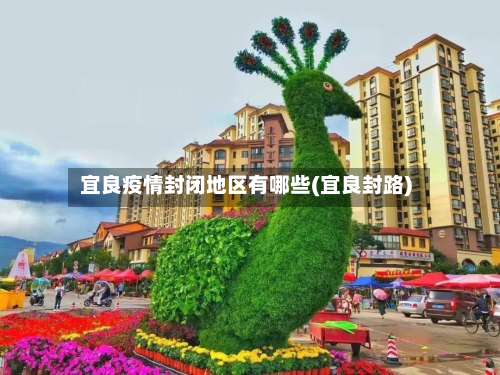 宜良疫情封闭地区有哪些(宜良封路)-第2张图片