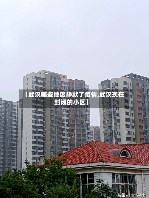 【武汉哪些地区静默了疫情,武汉现在封闭的小区】-第2张图片