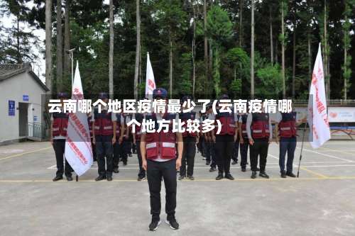云南哪个地区疫情最少了(云南疫情哪个地方比较多)-第1张图片