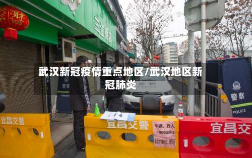 武汉新冠疫情重点地区/武汉地区新冠肺炎-第1张图片