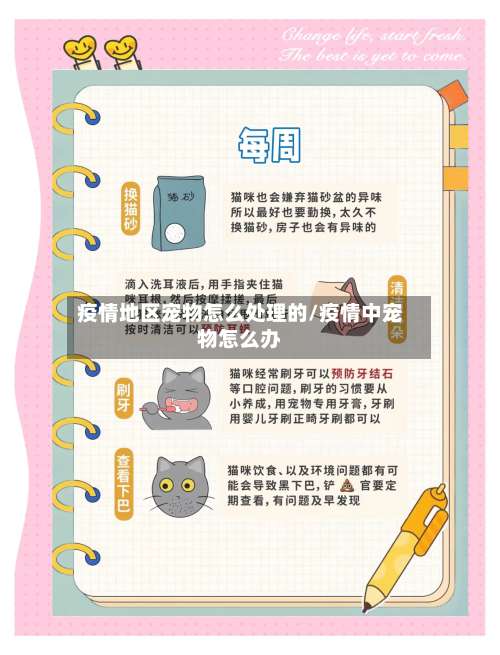 疫情地区宠物怎么处理的/疫情中宠物怎么办-第1张图片