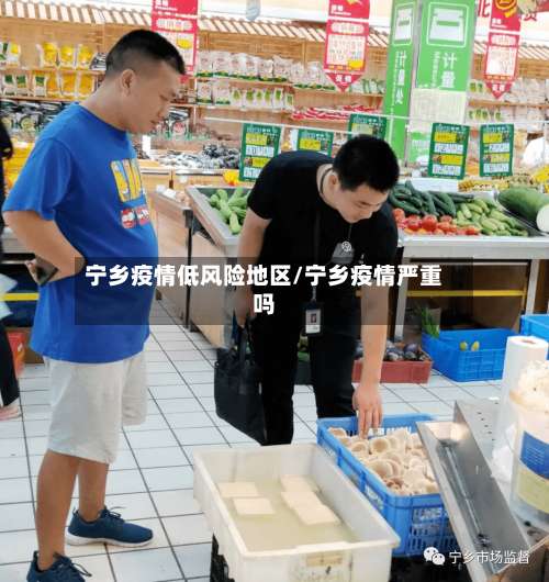 宁乡疫情低风险地区/宁乡疫情严重吗-第3张图片
