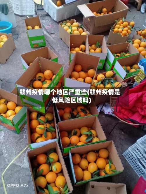 赣州疫情哪个地区严重些(赣州疫情是低风险区域吗)-第2张图片