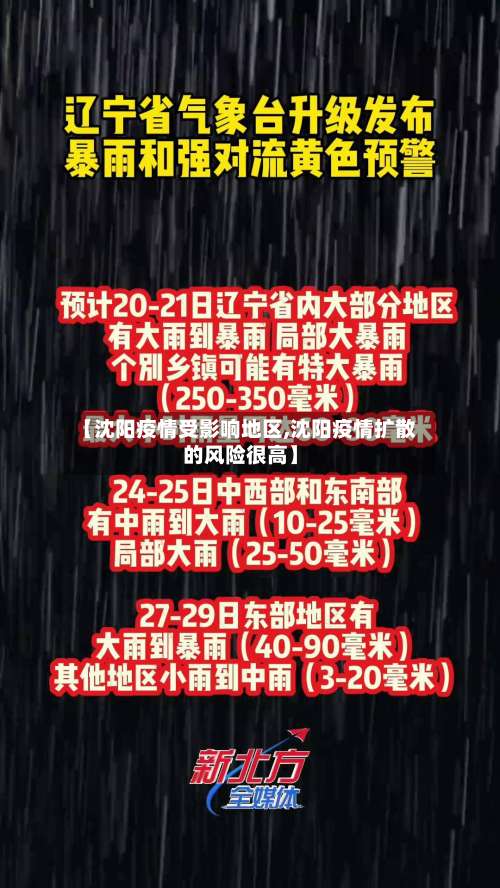 【沈阳疫情受影响地区,沈阳疫情扩散的风险很高】-第1张图片