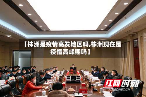 【株洲是疫情高发地区吗,株洲现在是疫情高峰期吗】-第3张图片