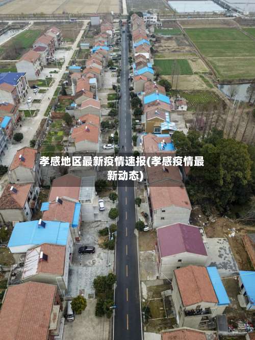 孝感地区最新疫情速报(孝感疫情最新动态)-第2张图片