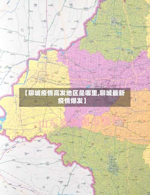 【聊城疫情高发地区是哪里,聊城最新疫情爆发】-第2张图片