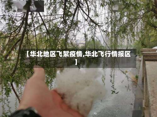 【华北地区飞絮疫情,华北飞行情报区】-第1张图片