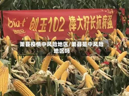 萧县疫情中风险地区/萧县是中风险地区吗-第3张图片