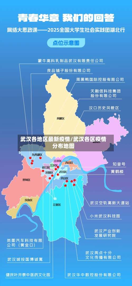 武汉各地区最新疫情/武汉各区疫情分布地图-第3张图片