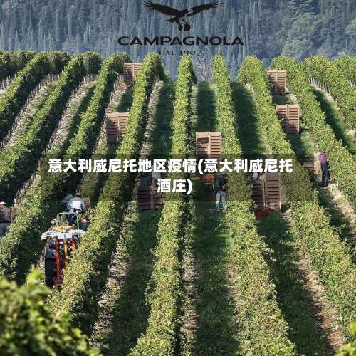 意大利威尼托地区疫情(意大利威尼托酒庄)-第1张图片