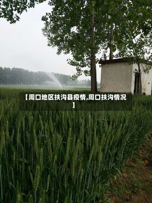 【周口地区扶沟县疫情,周口扶沟情况】-第1张图片