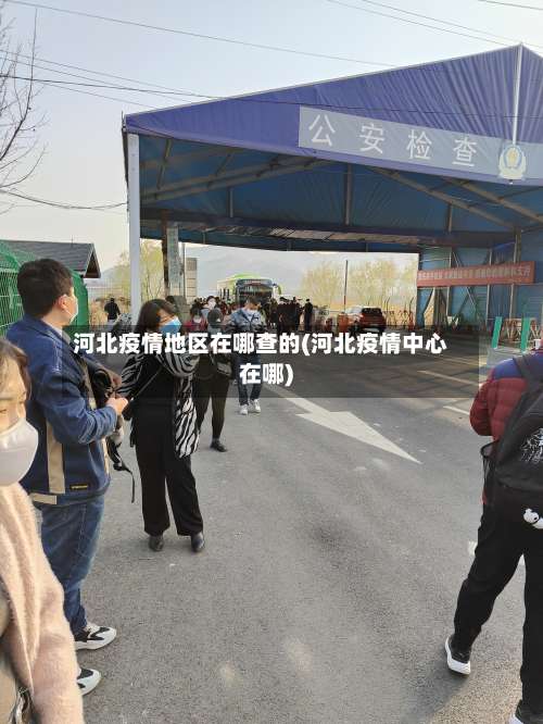 河北疫情地区在哪查的(河北疫情中心在哪)-第2张图片