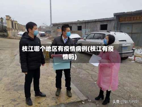 枝江哪个地区有疫情病例(枝江有疫情吗)-第1张图片