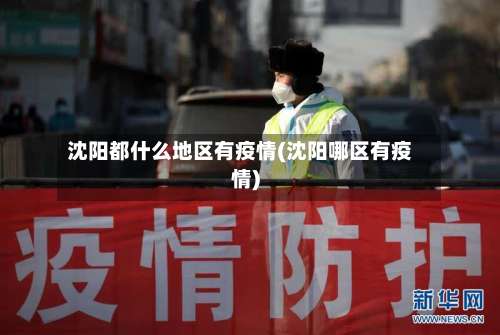 沈阳都什么地区有疫情(沈阳哪区有疫情)-第2张图片